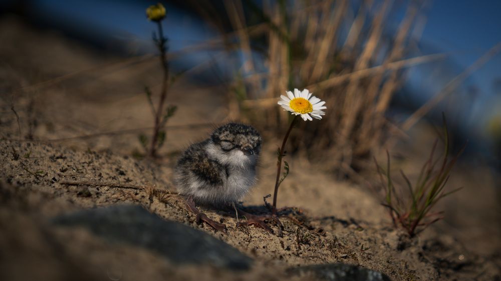 Photograph by Антон Дроздов