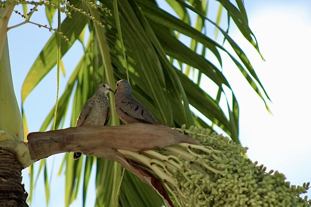 Фотография автора Jose Otero