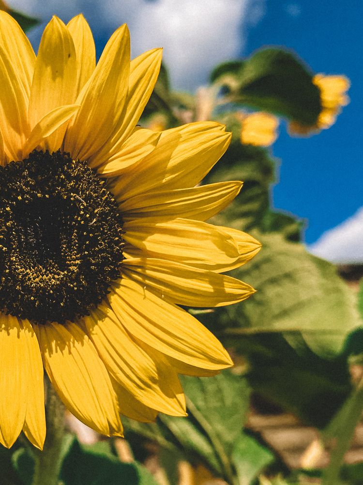 Photograph by Мария Петрова