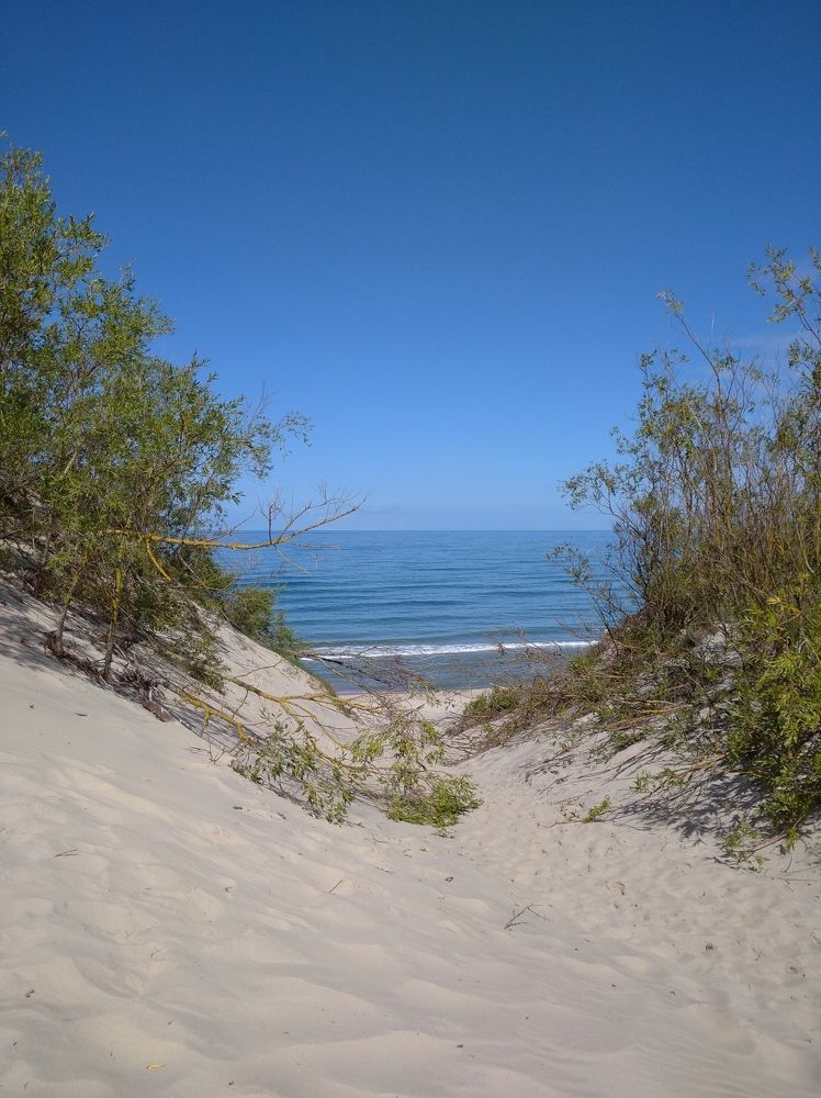 Photograph by Елена Новикова