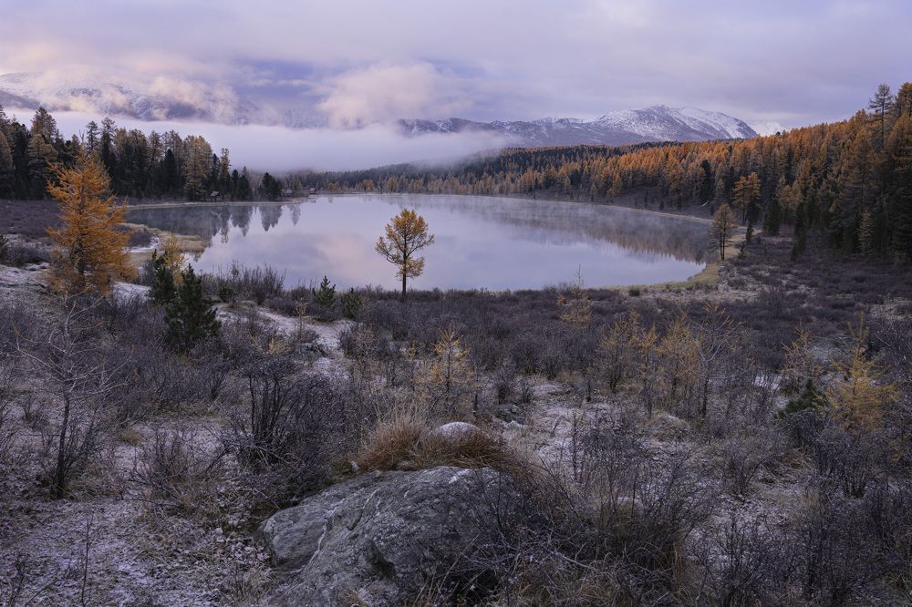 Фотография автора Галина