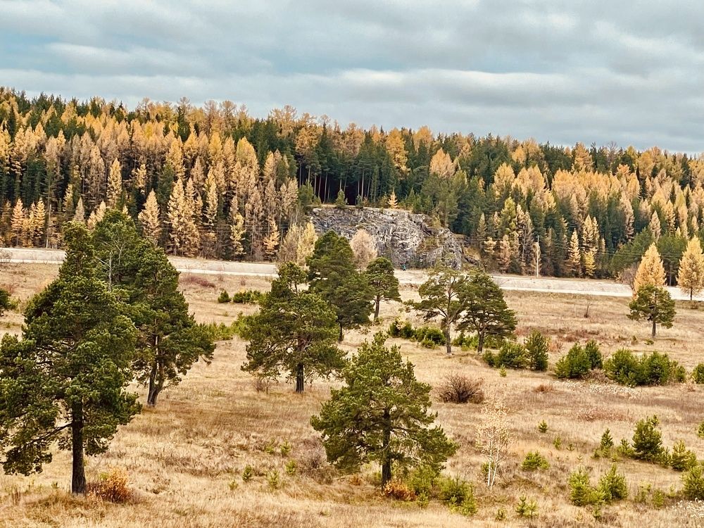 Photograph by Светлана Хохлова