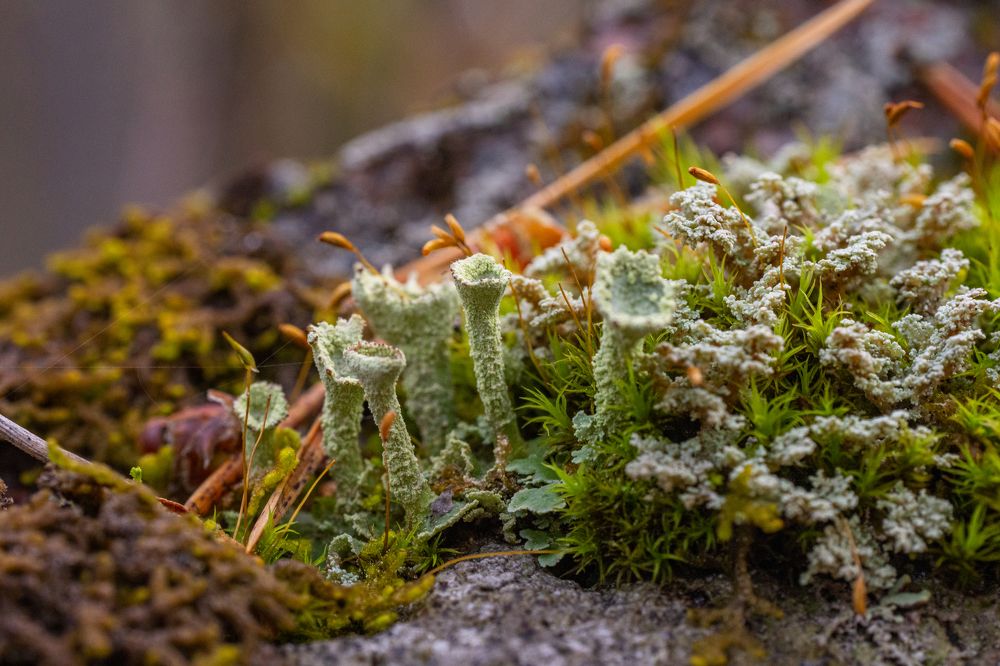 Photograph by Илья Кулаков