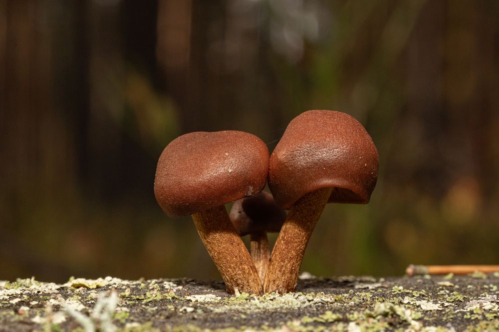 Photograph by Илья Кулаков