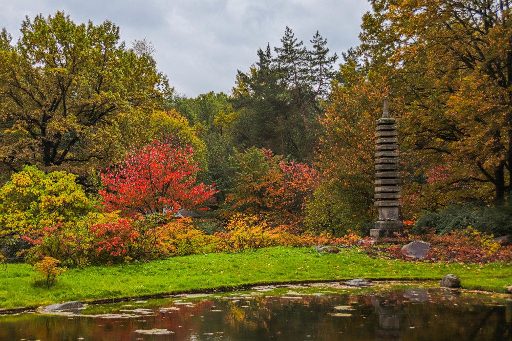 Photograph by Дмитрий Свинухов