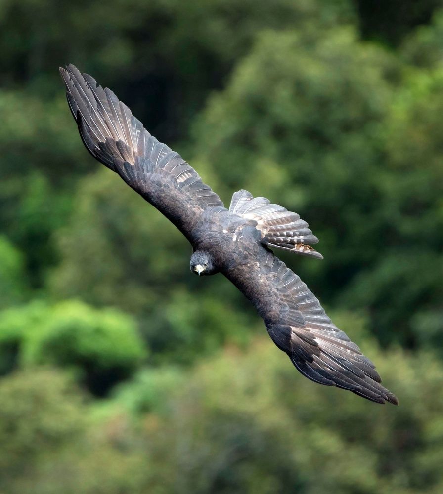 Фотография автора Chandra sekar