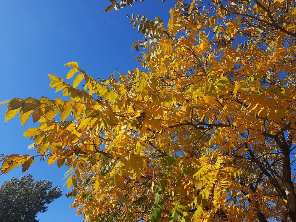 Photograph by Надежда Тузова