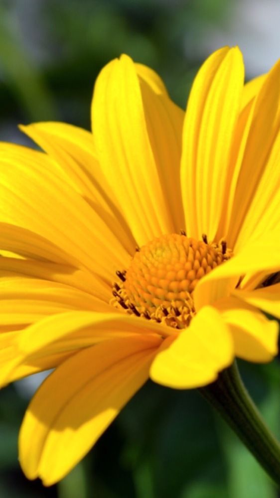 Photograph by Елизавета Большакова