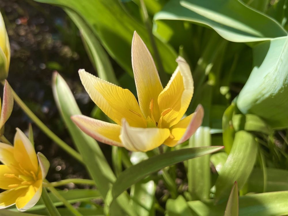 Photograph by Елизавета Большакова