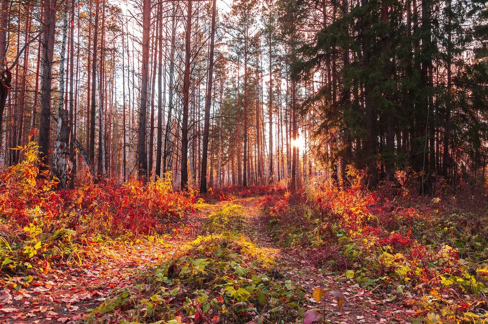 Photograph by Абаимов Александр