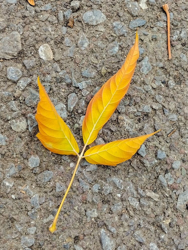 Photograph by Валерий Федяров