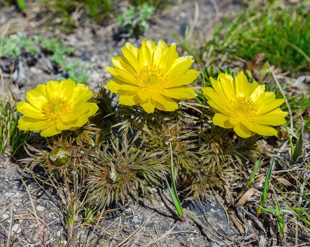 Photograph by Валерий Федяров
