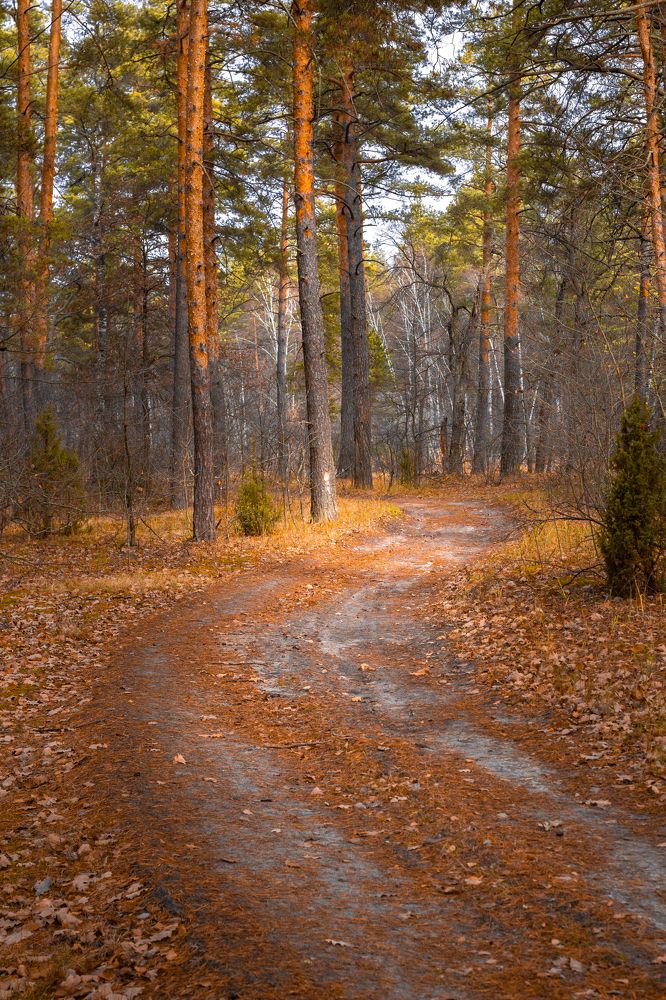 Photograph by Чудинин Дмитрий