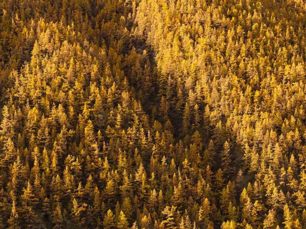 Photograph by Леонтьев Константин