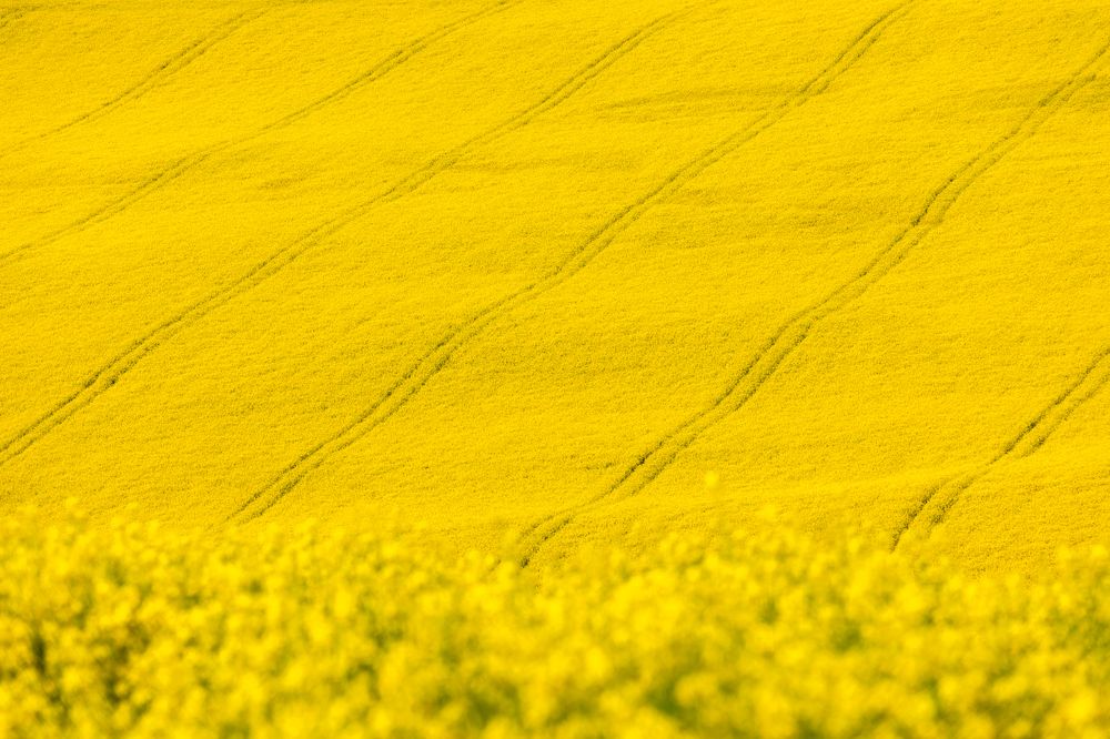 Photograph by Евгения Чех