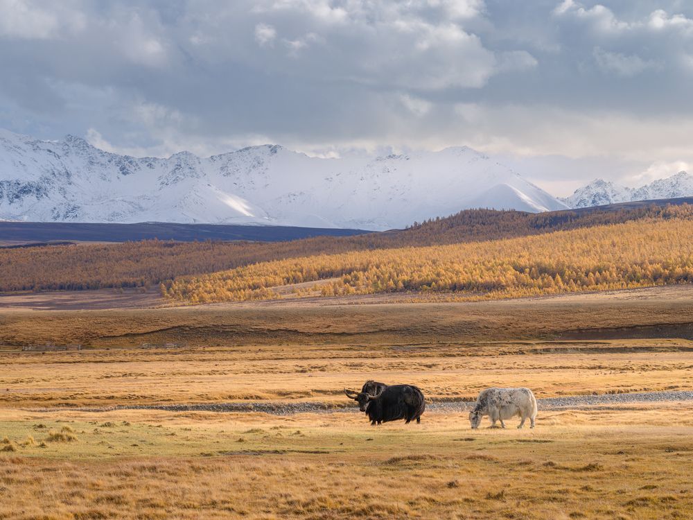 Photograph by Леонтьев Константин