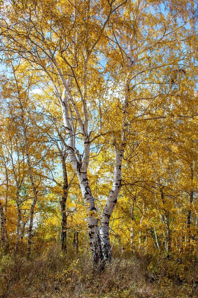 Photograph by Валерий Федяров