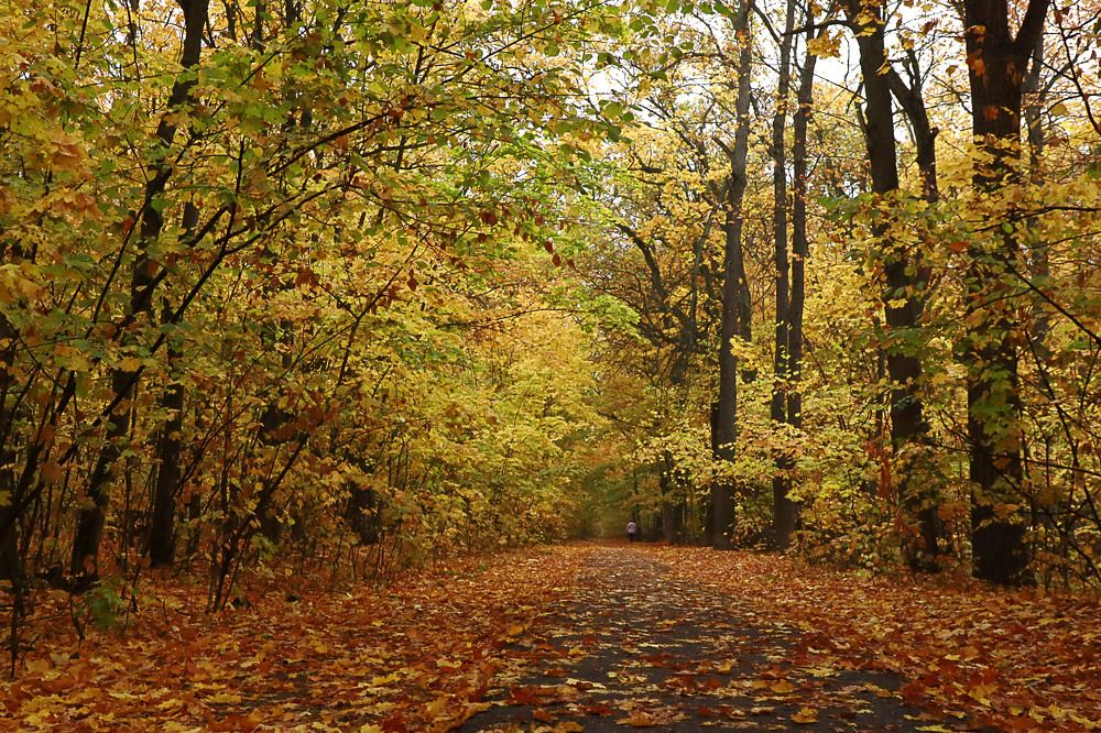 Photograph by Наталья Ильичёва