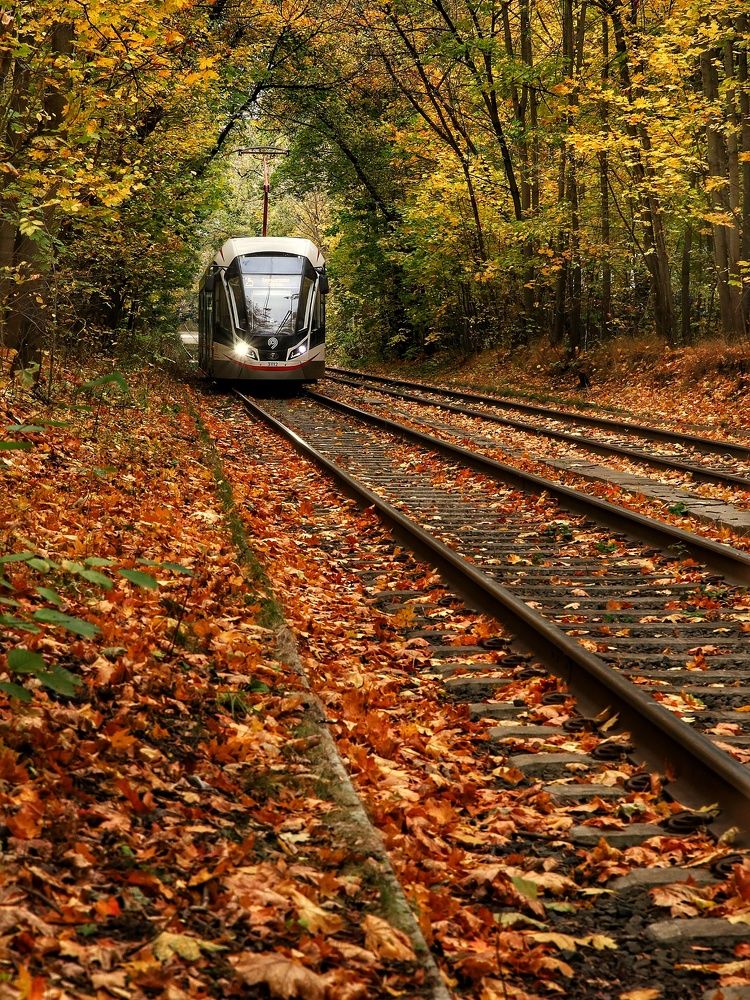 Photograph by Angelica Medvedeva