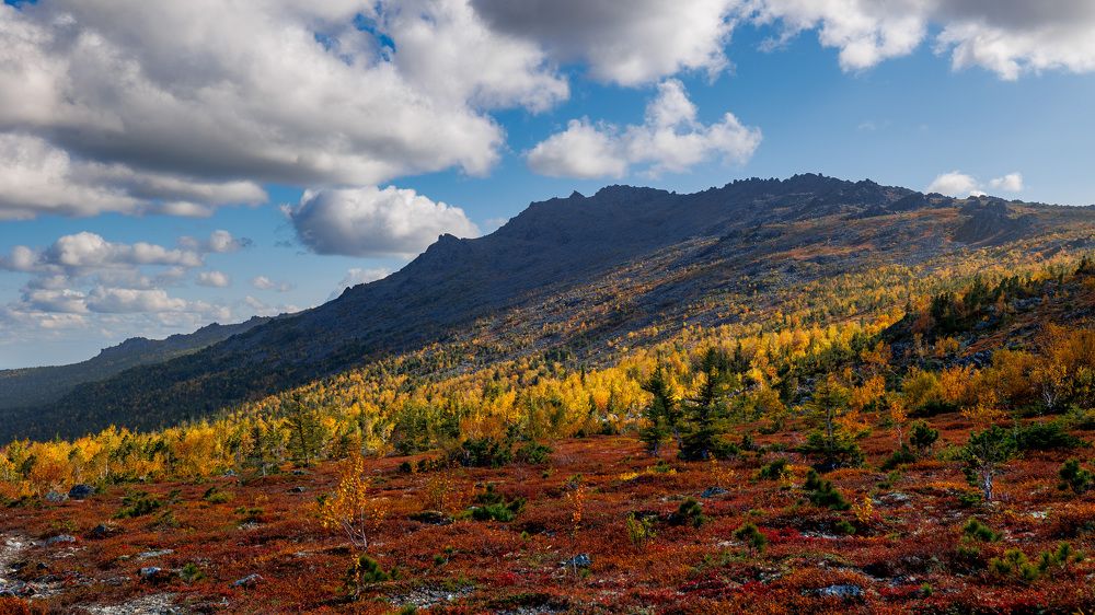 Фотография автора Алексей Крючков