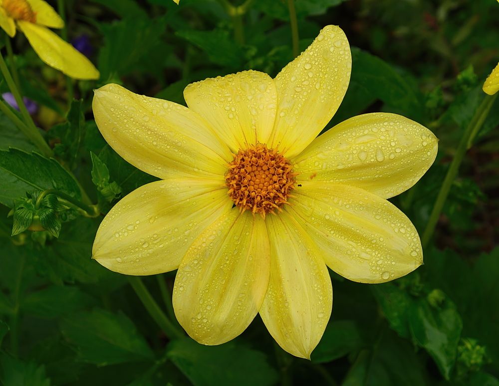 Photograph by Василий Быстрицкий