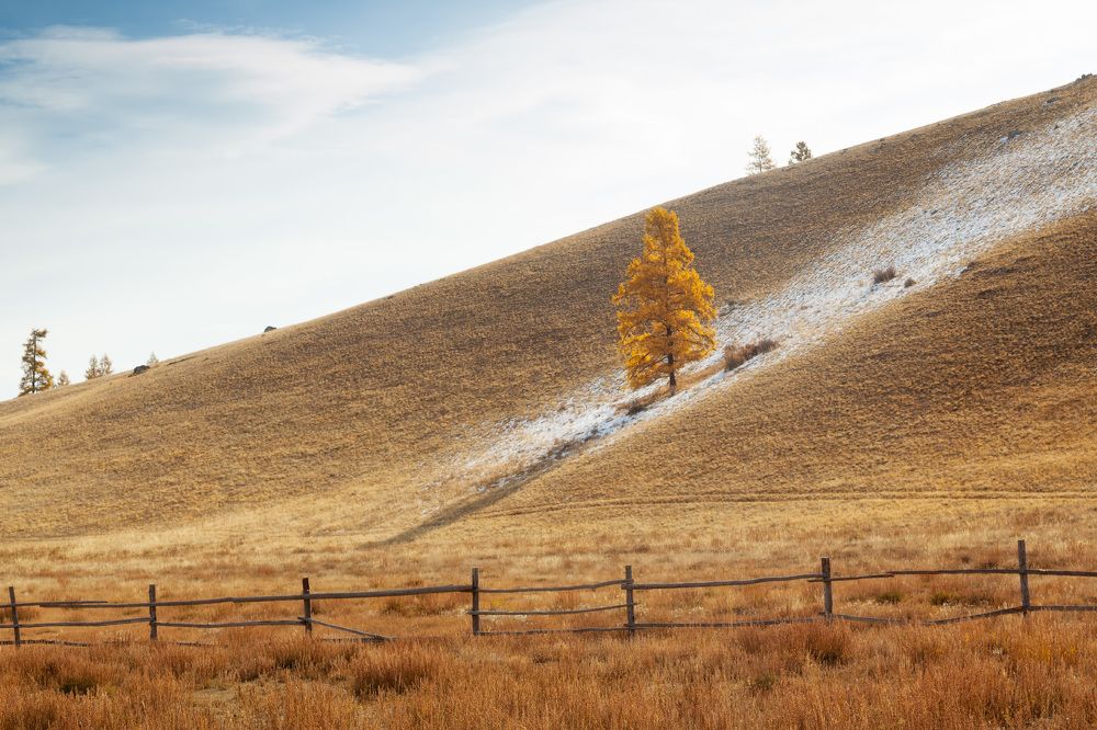 Photograph by Сергей