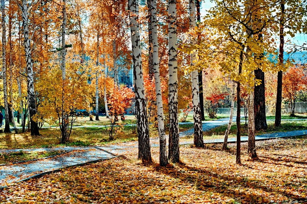 Photograph by Еловиков Олег