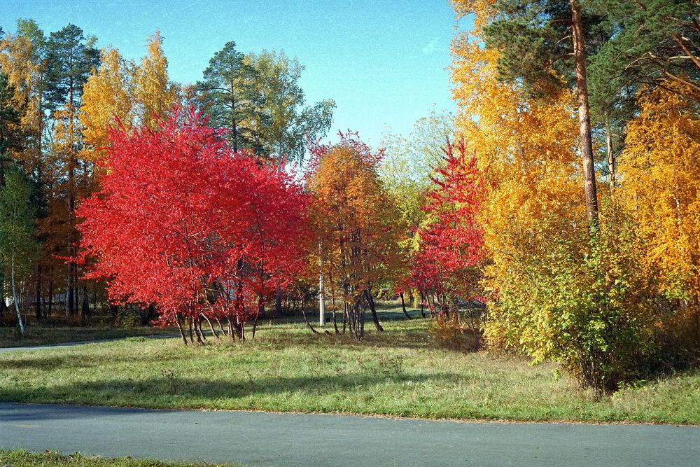 Photograph by Еловиков Олег