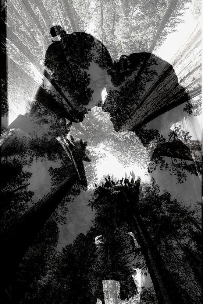 Photograph by Ольга Козыренко