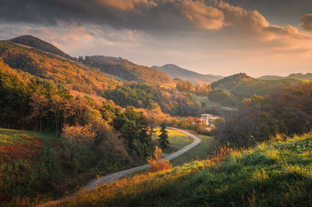 Photograph by NGUYEN NGOC SON