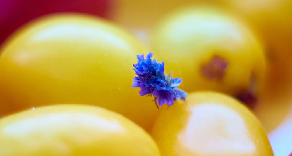 Photograph by Михаил