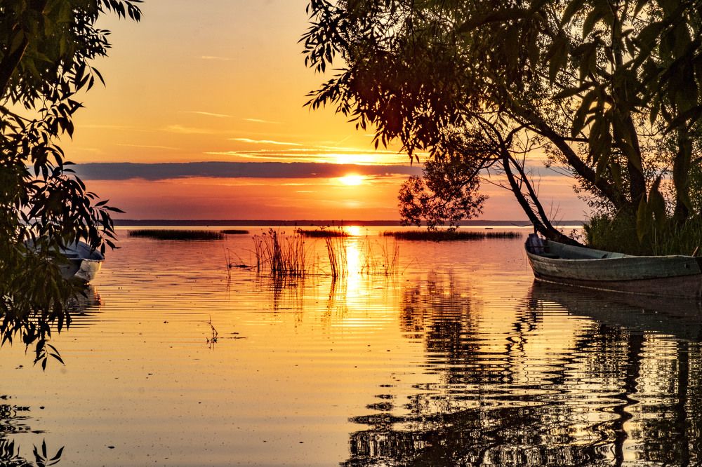 Photograph by Елена Маракулина