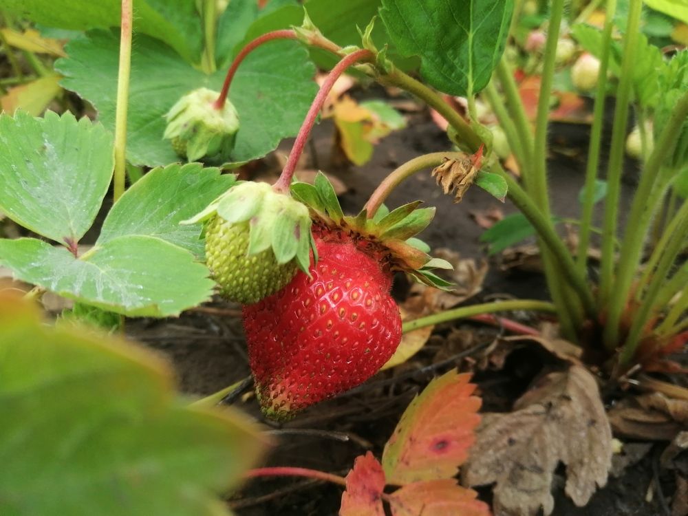 Photograph by Павел Дегтярев