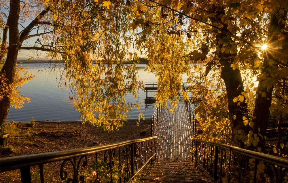 Photograph by Елена Маракулина