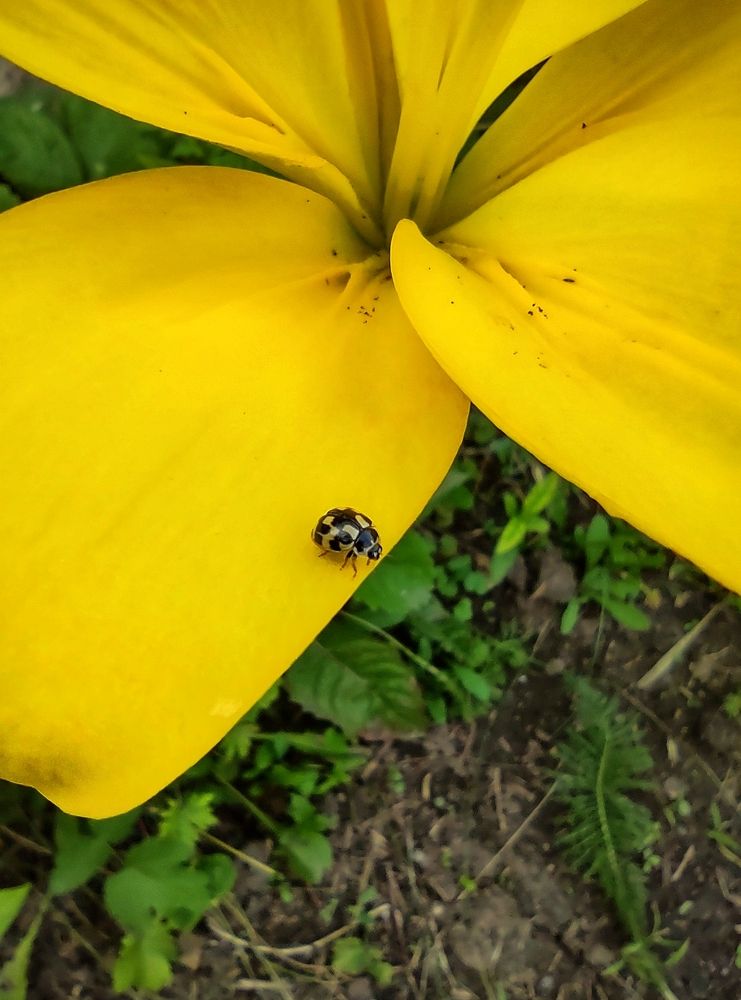 Photograph by Оксана Лоншакова