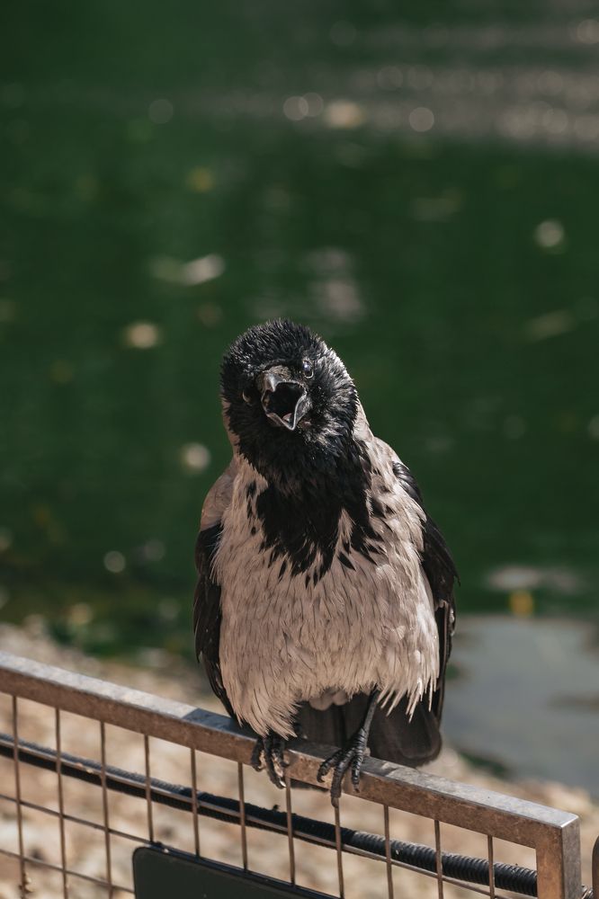 Photograph by Татьяна Степанова