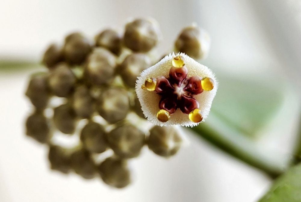 Photograph by Оксана Лоншакова