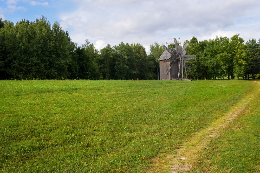 Беларусь синеокая