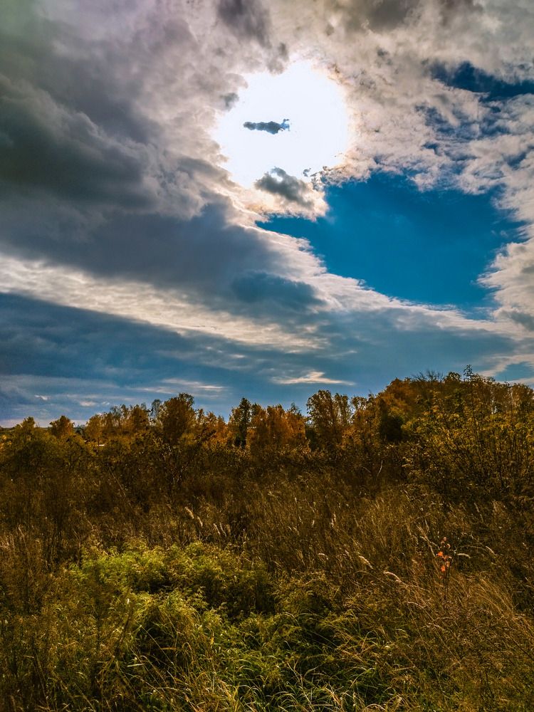 Photograph by Елена Гусева