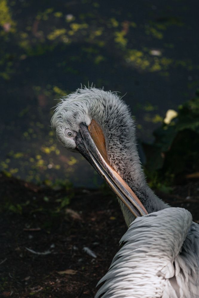 Photograph by Татьяна Степанова