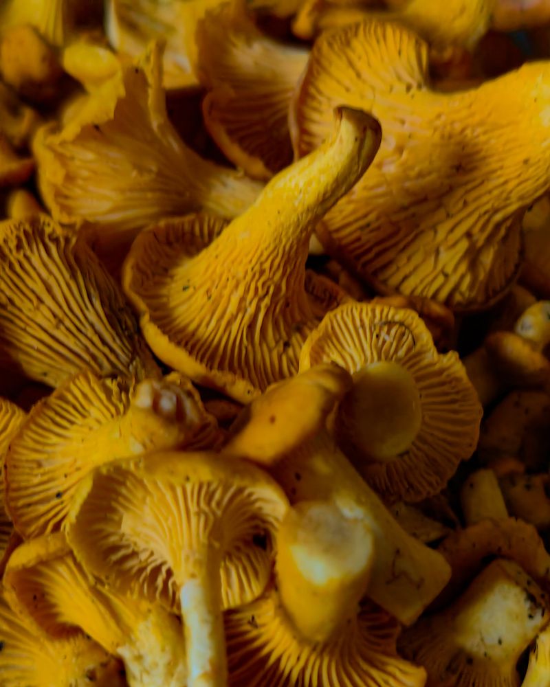 Photograph by Наталья Балабанова