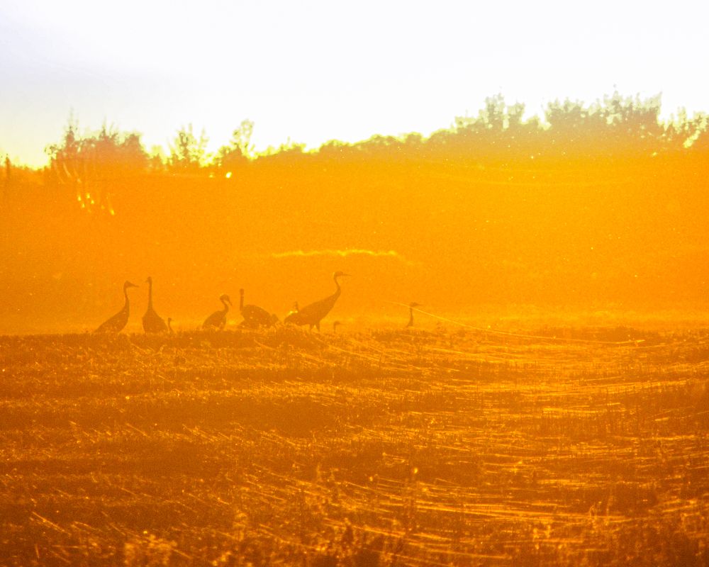 Photograph by Наталья Балабанова
