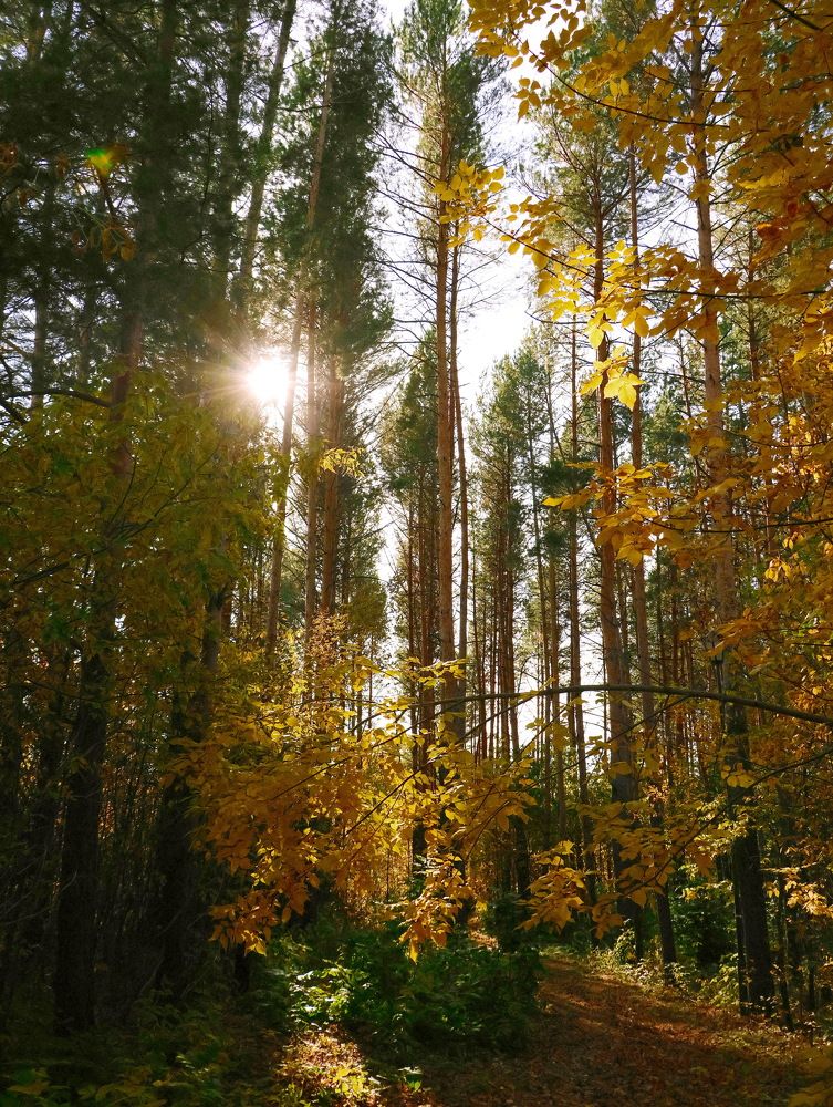 Photograph by Серёга Ануфриев