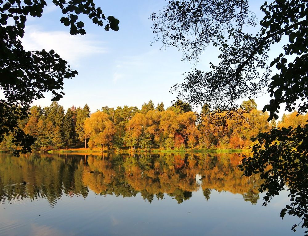 Позолоченный берег озера