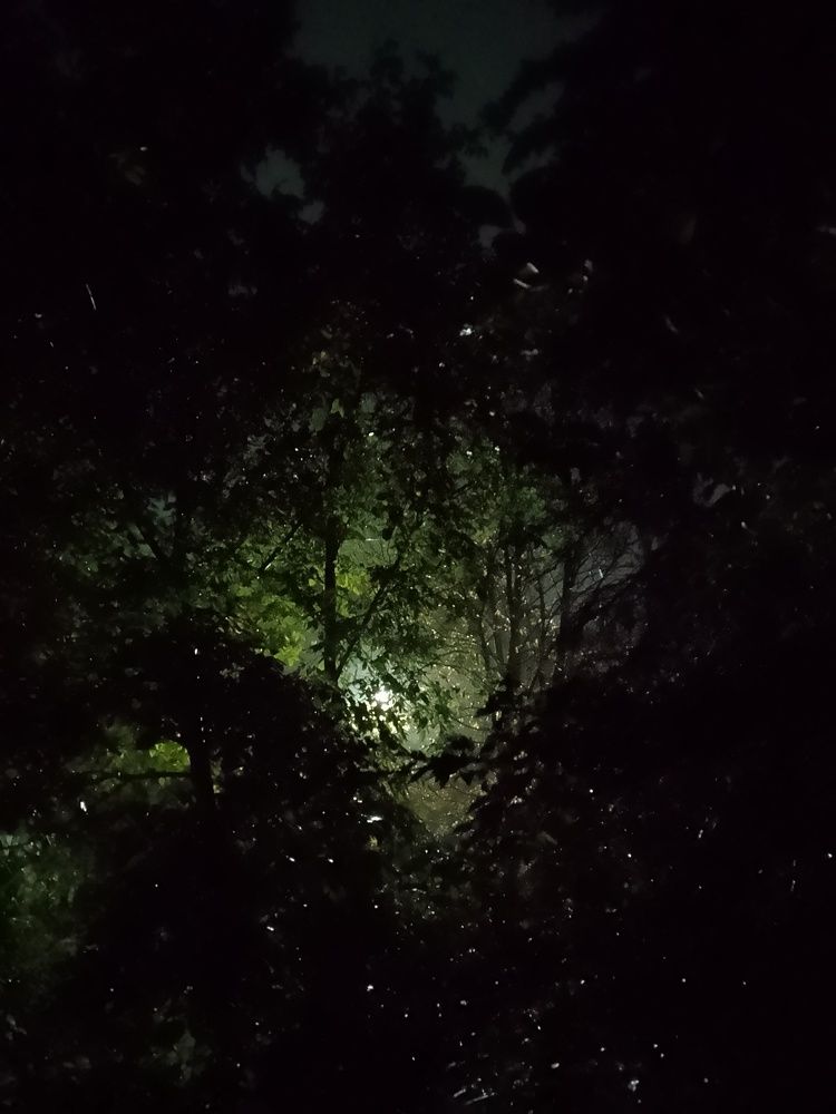 Photograph by Армида