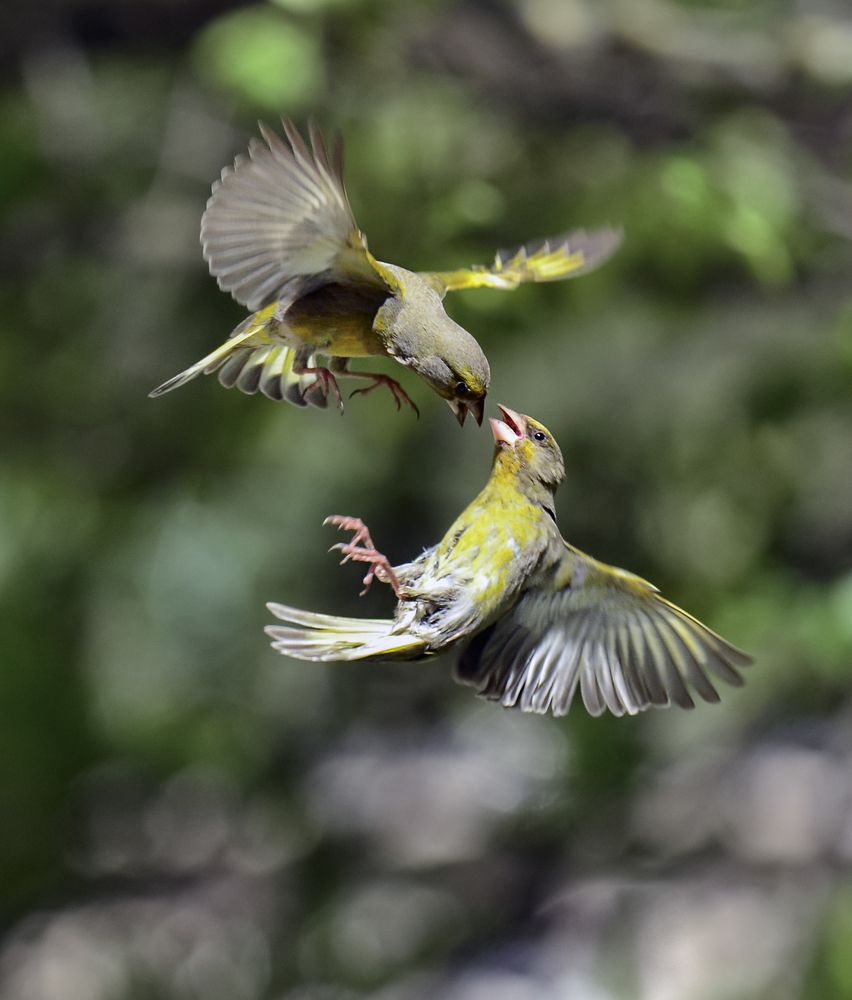 Photograph by Natalia Bolotenkova