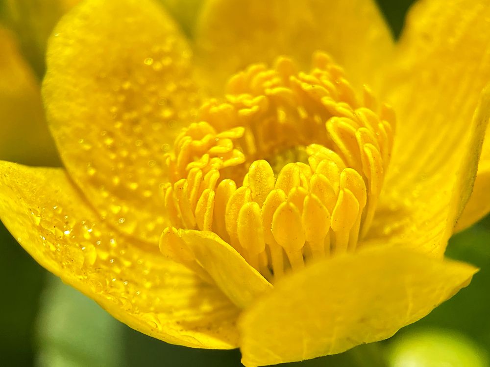 Фотография автора Наталья Василькова