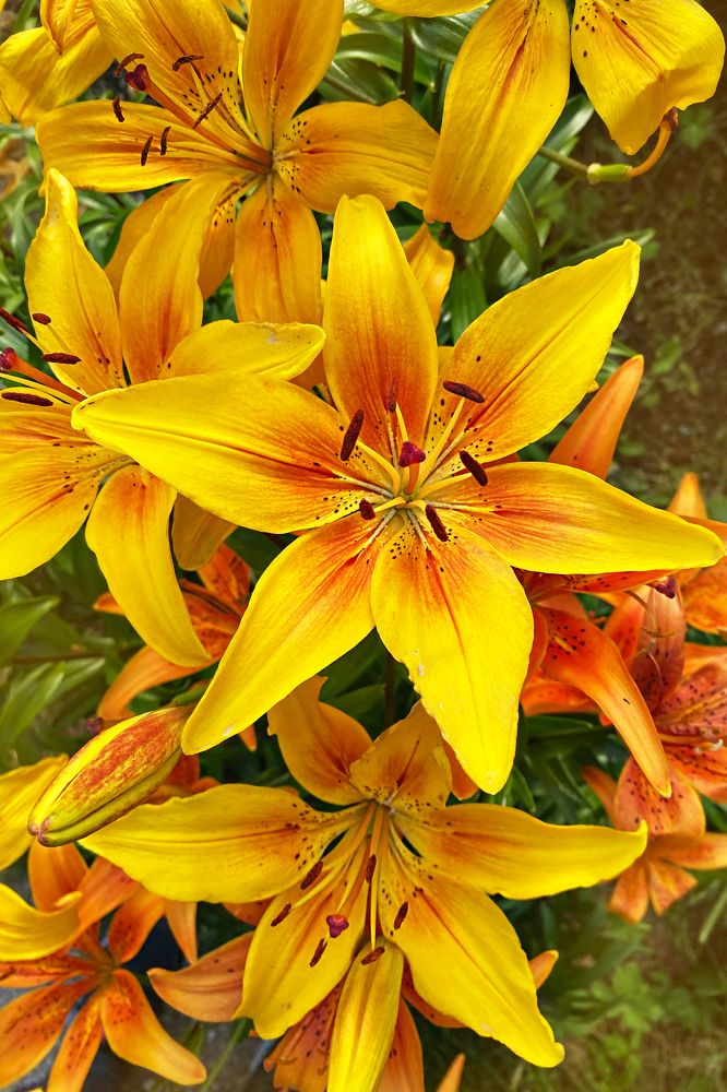 Фотография автора Наталья Василькова