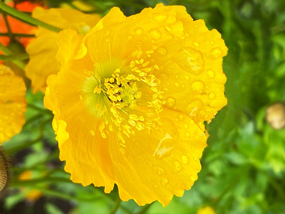 Фотография автора Наталья Василькова