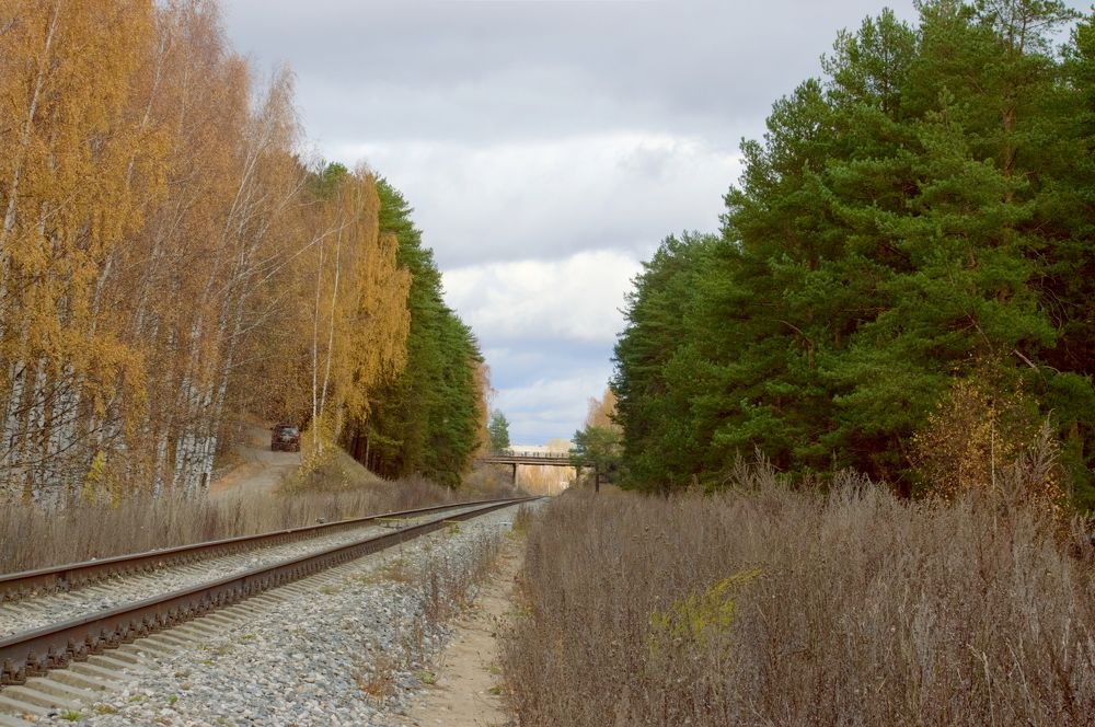 Photograph by Сергей Владимирович Егоров
